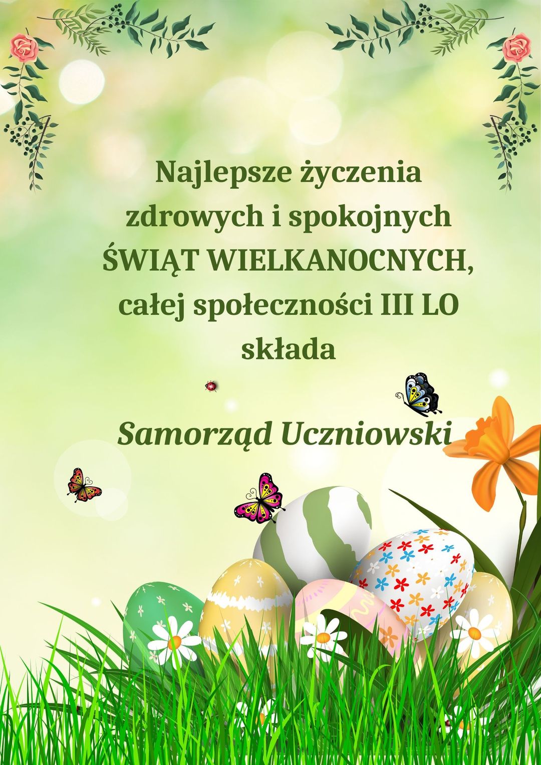 340093818 520658846940809 5400239336039286692 n